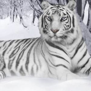 Meet your Posher, Ignacio